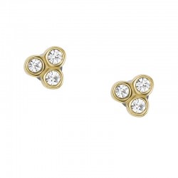 Imagen de Pendientes Fossil Mujer Sadie JF04110710