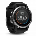 Acquistare Orologio Unisex Garmin Fēnix 5S 010-01685-02 GPS Smartwatch Multisport
