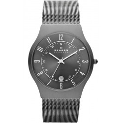 Купить Skagen Мужские Часы Grenen Titanium 233XLTTM