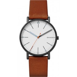 Купить Skagen Мужские Часы Signatur SKW6374